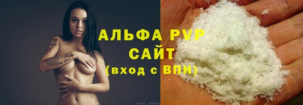 прущие грибы Баксан