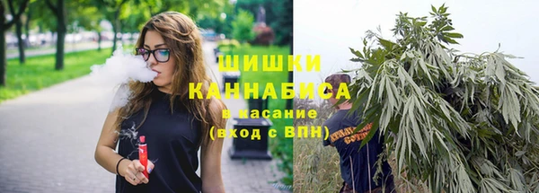 ПСИЛОЦИБИНОВЫЕ ГРИБЫ Наволоки