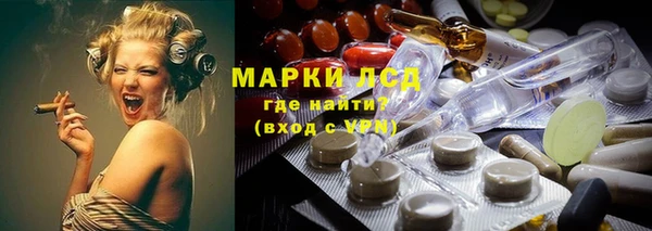 прущие грибы Баксан