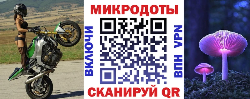 площадка формула  Курчалой  Псилоцибиновые грибы ЛСД 